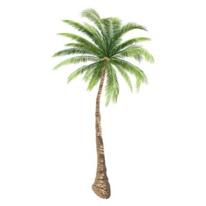 Tropical Coconut Tree Vector Art
