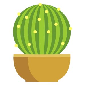 Unique Star Cactus Plant Vector Art