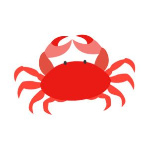 Astounding Red Claw Crab Vector Art