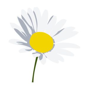 Colorful Brush Art Daisy Flower Vector Art
