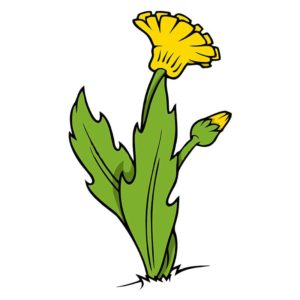 Spell-Binding Dandelion Vector Art