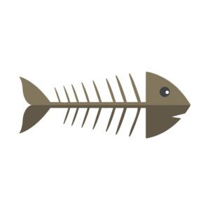 Mullet Fish Bone Vector Art