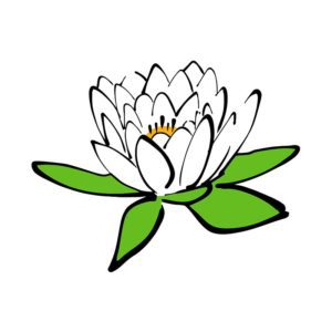 Beautiful Sacred Lotus Flower Vector Art