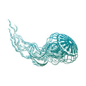 Eye-catching Immortal Jelly Fish Vector Art