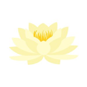 Eccentric Lotus Flower Vector Art