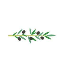 Olives leaves Vector Art