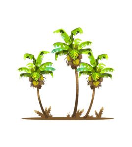 Palm Tree Vector