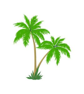 date palm vector