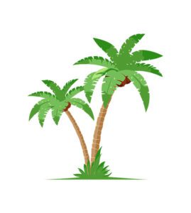tree palm vector
