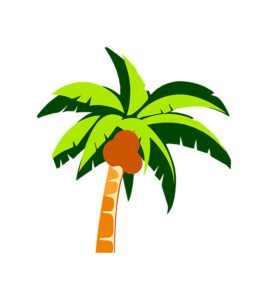 coconut tree vector