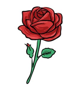 red rose vector art