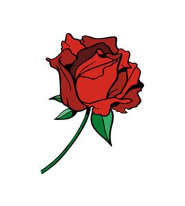rose vector graphics