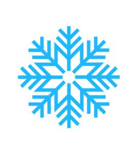 snowflake vector image