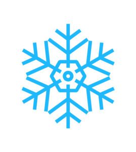 frozen snowflake vector