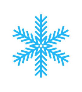Winter Snowflake Vector