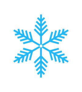 vector snowflake pattern