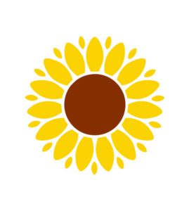 Sunflower Vector