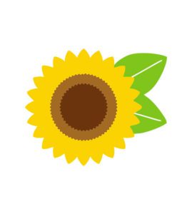 Sunflower Vector Design
