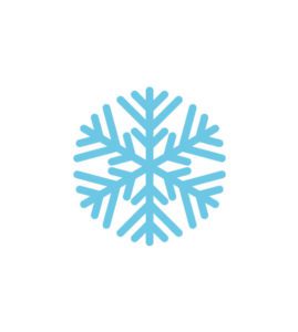 Subtle Snowflake Dendrite Vector Image