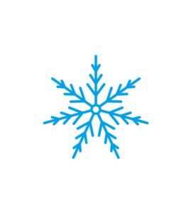 Stellar Fern Like Dendrite Vector Art