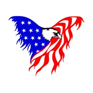 AMERICAN FLAG EAGLE VECTOR