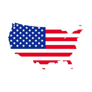 USA FLAG MAP VECTOR ART