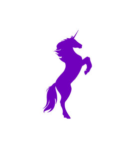 Enchanting Rearing Horse Unicorn Vector Art