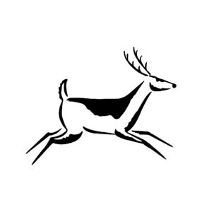 Deer design