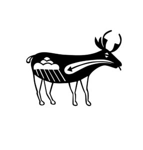 Deer native