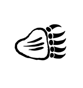 Design art Creative native