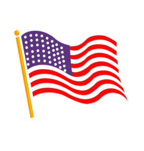 Flag United State .001