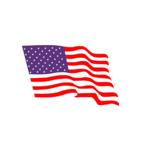 US FLAG VECTOR.01