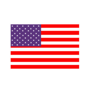 US flag Vector