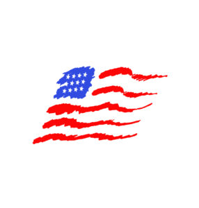 USA AMERICAN FLAG ART