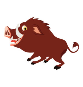 Angry Boar Design