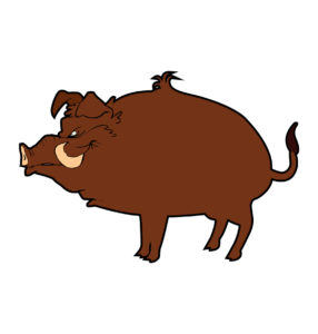 Angry Boar