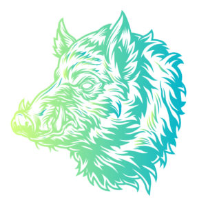 Boar vector art