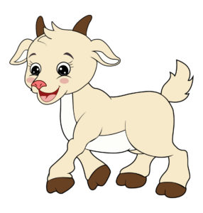 Cute baby goat vector