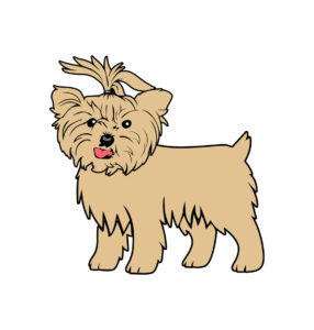 Yorkie Cartoon Stock Illustration
