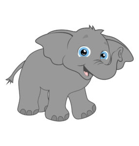 baby cute elephant