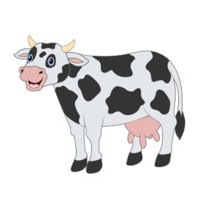 black and white milky cow