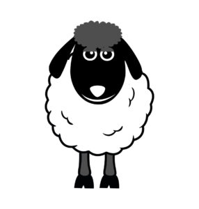black and white sheep