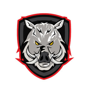 boar face vector art