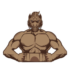 bodybuilder boar