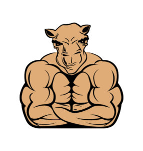 bodybuilder camel