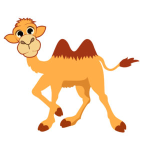 camel cartoon