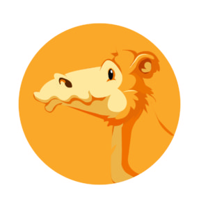 camel face illustration
