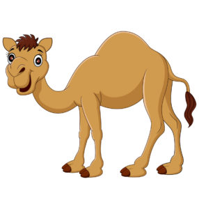 camel vector