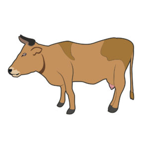 cow art design
