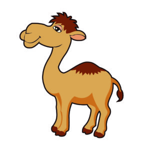 cute baby camel